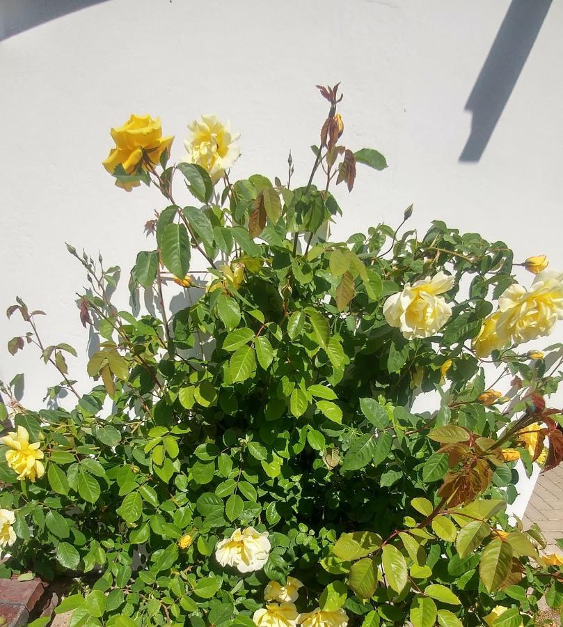 Ferienwohnung Gartenblick ヴォルプスヴェーデ エクステリア 写真